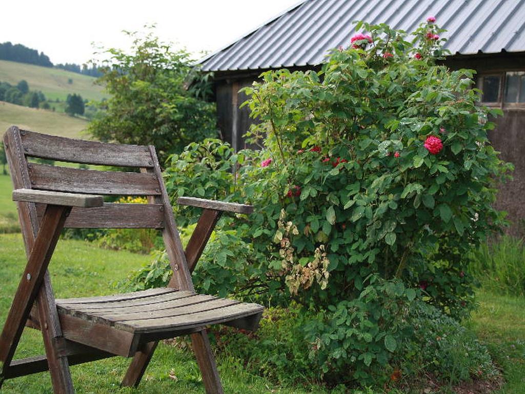 Hotel Haus Tannenhof à Ibach Extérieur photo